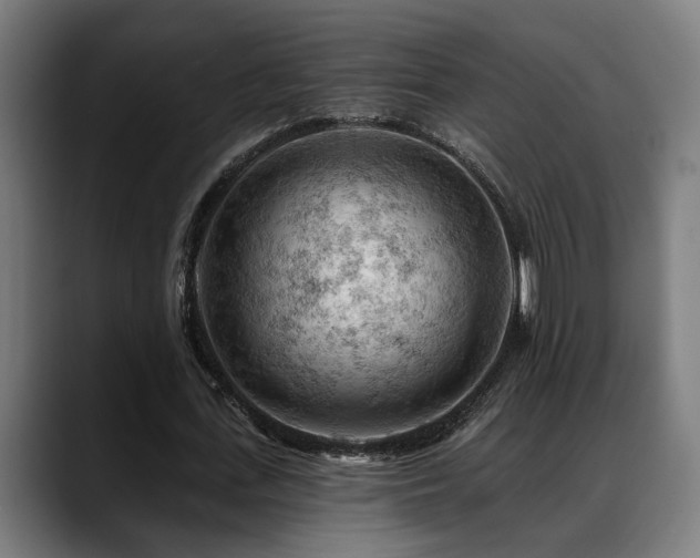X0000088650723200705251501