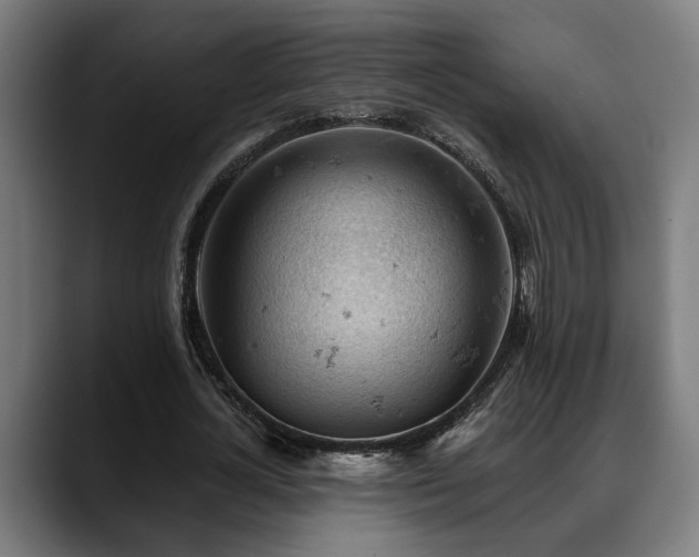 X0000088650724200705251501