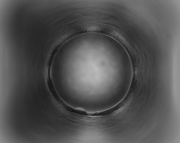 X0000088650725200705251501