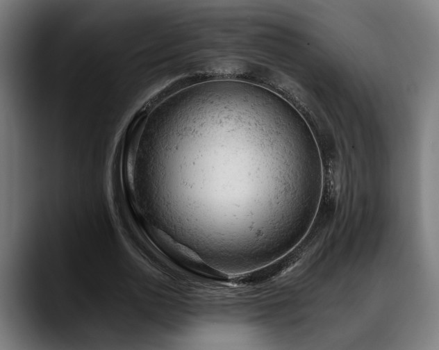X0000088650726200705251501