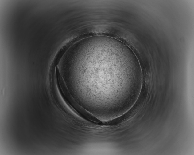 X0000088650727200705251501