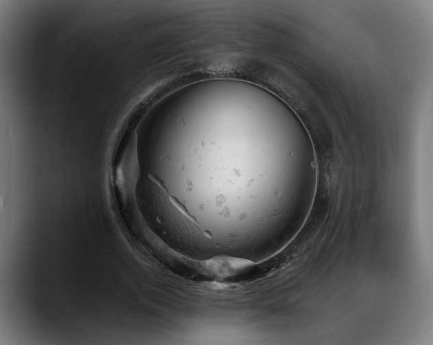 X0000088650728200705251501