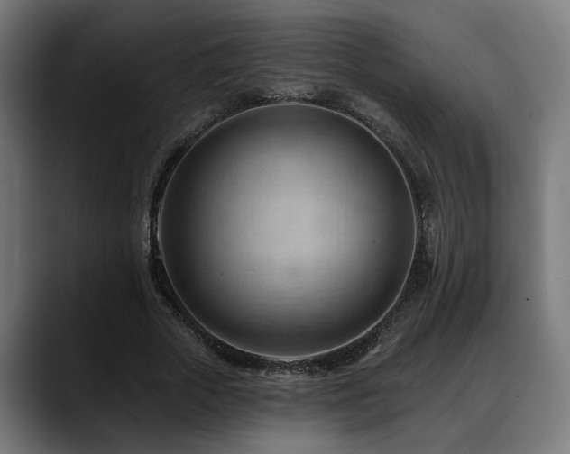 X0000088650729200705251501