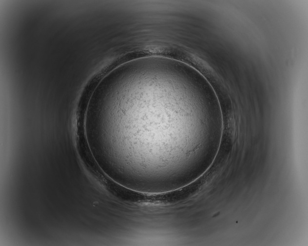 X0000088650730200705251501
