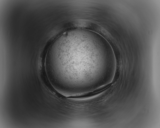 X0000088650731200705251501