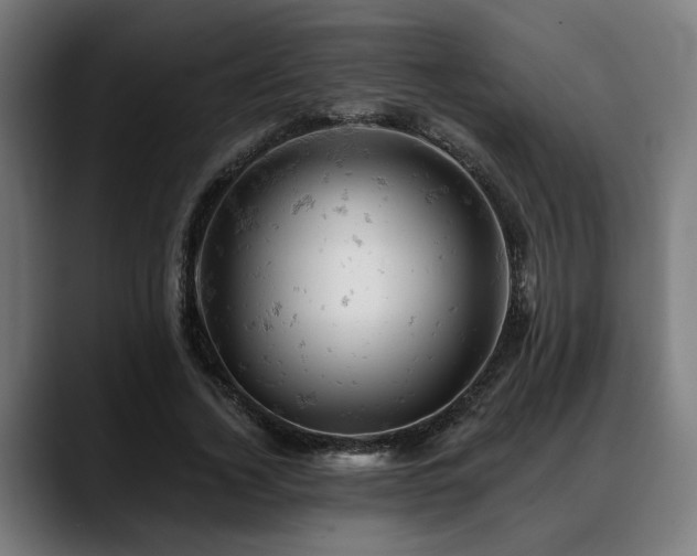 X0000088650732200705251501