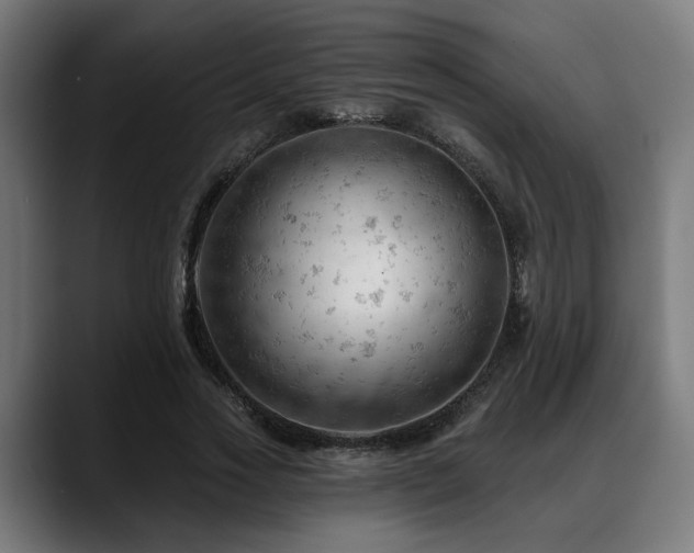 X0000088650733200705251501