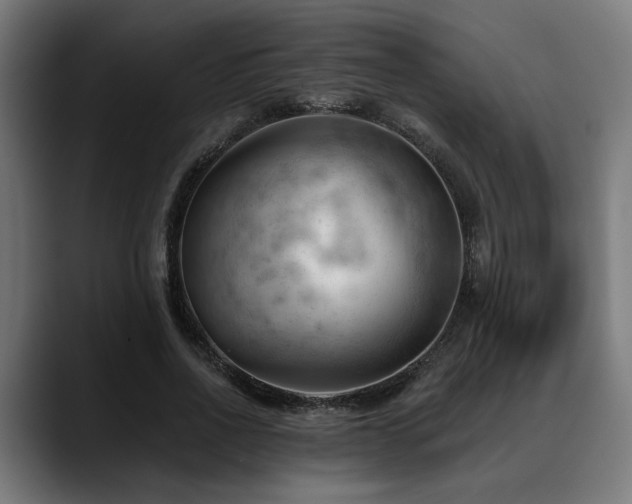 X0000088650734200705251501