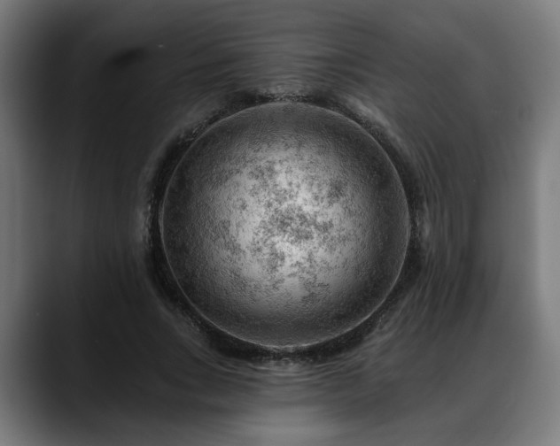 X0000088650735200705251501