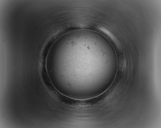 X0000088650736200705251501