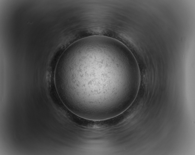 X0000088650739200705251501