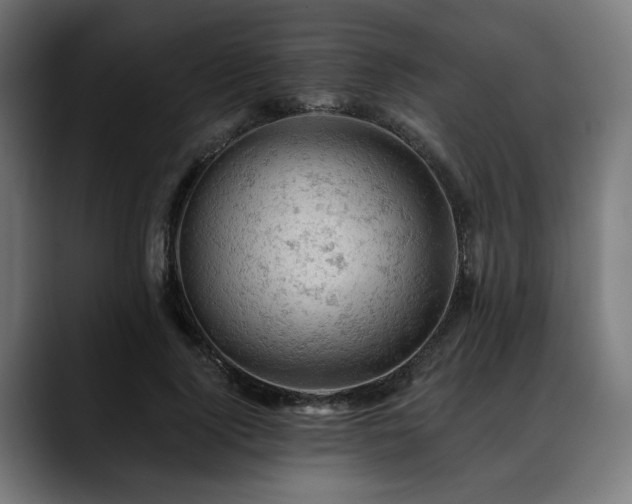 X0000088650740200705251501