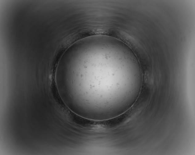 X0000088650741200705251501