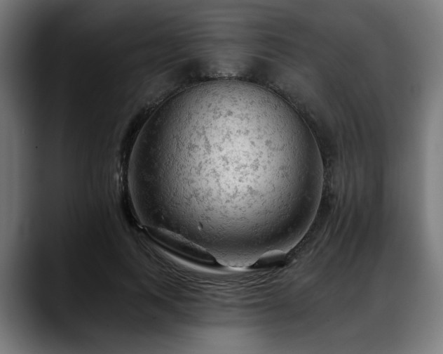 X0000088650743200705251501