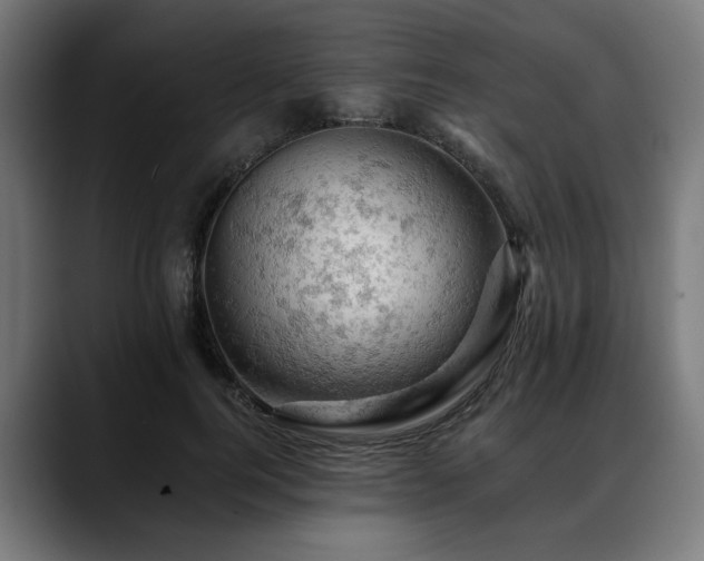 X0000088650744200705251501
