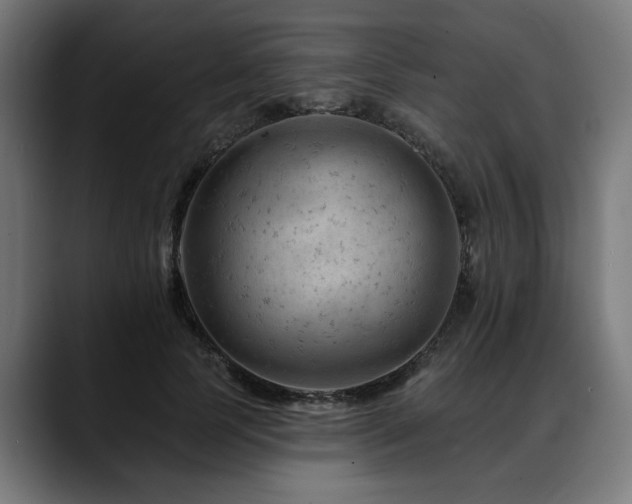 X0000088650745200705251501