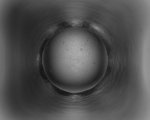 X0000088650748200705251501