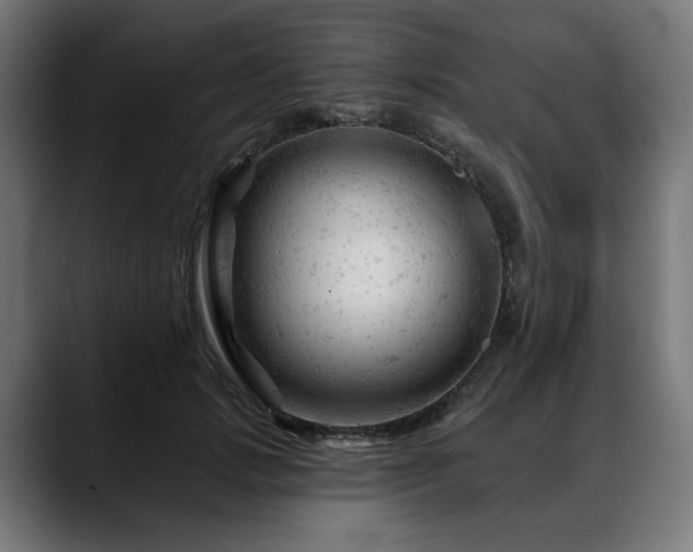 X0000088650749200705251501