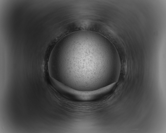 X0000088650750200705251501