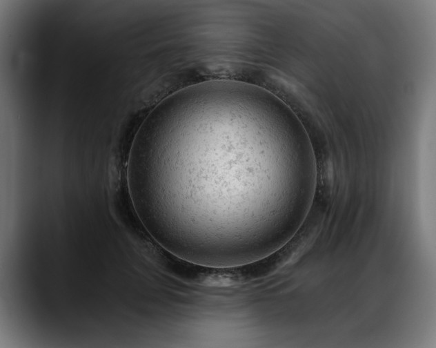 X0000088650751200705251501
