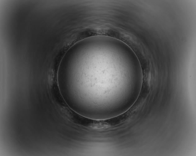 X0000088650752200705251501