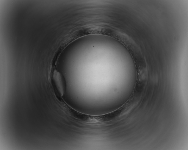 X0000088650753200705251501