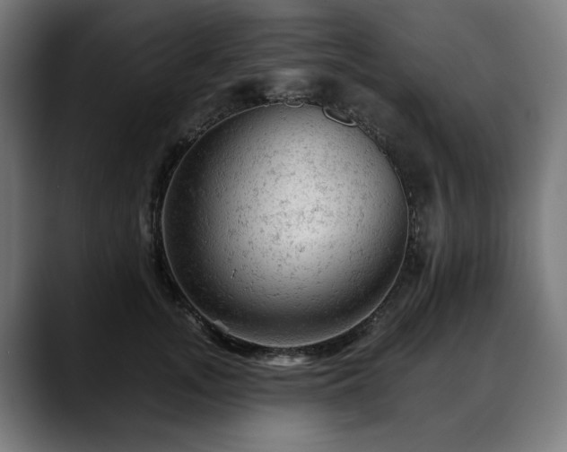X0000088650755200705251501