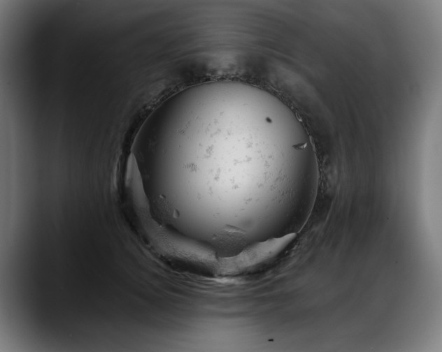 X0000088650756200705251501