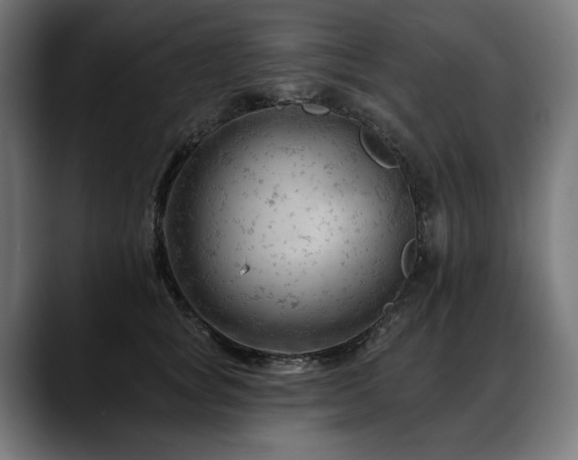 X0000088650757200705251501
