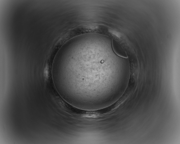 X0000088650758200705251501