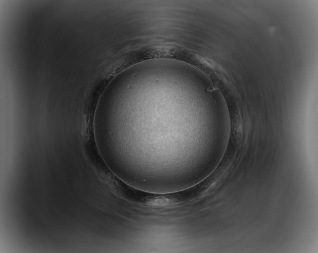 X0000088650759200705251501