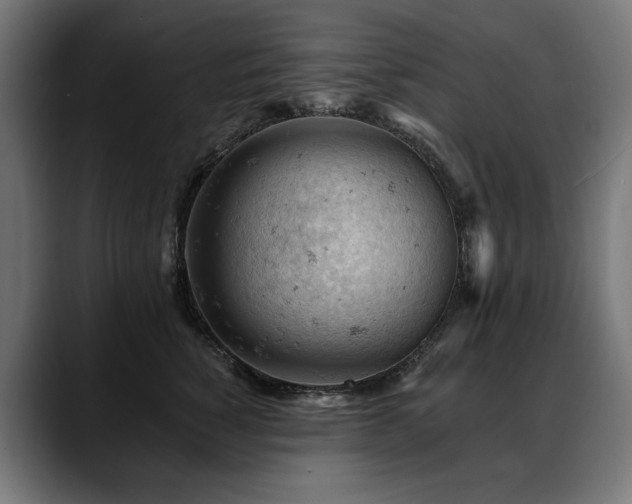 X0000088650760200705251501
