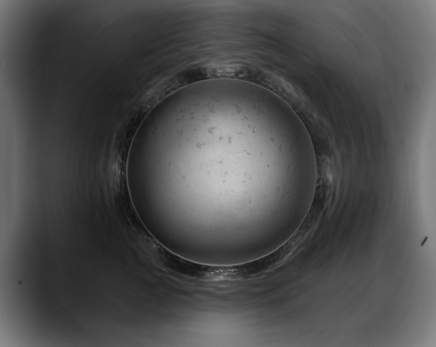 X0000088650761200705251501