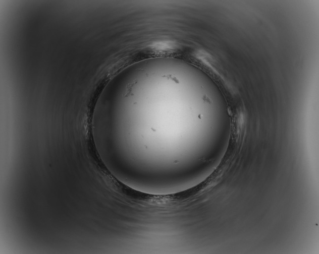 X0000088650762200705251501
