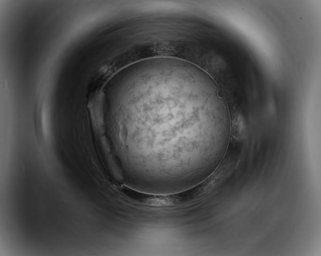 X0000088650765200705251501