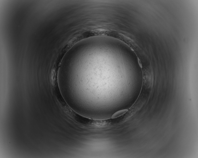 X0000088650767200705251501
