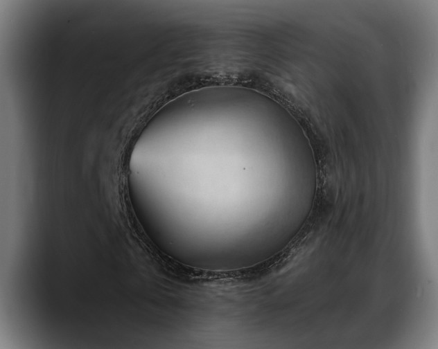 X0000088650769200705251501
