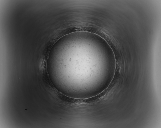 X0000088650770200705251501
