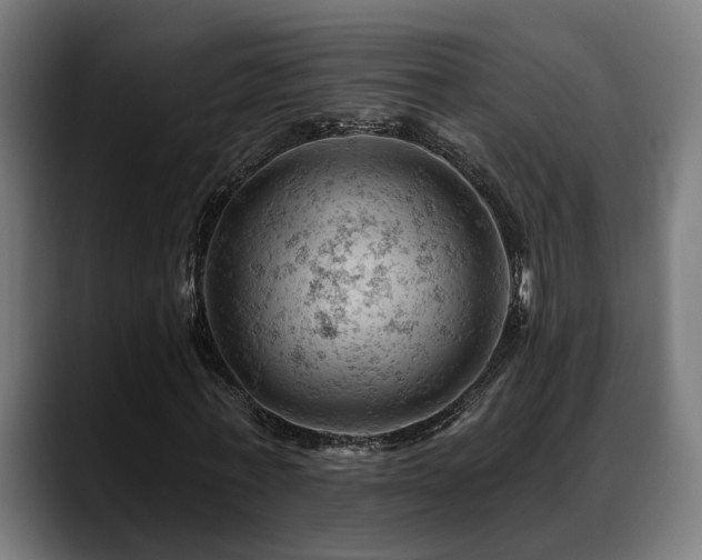 X0000088650771200705251501