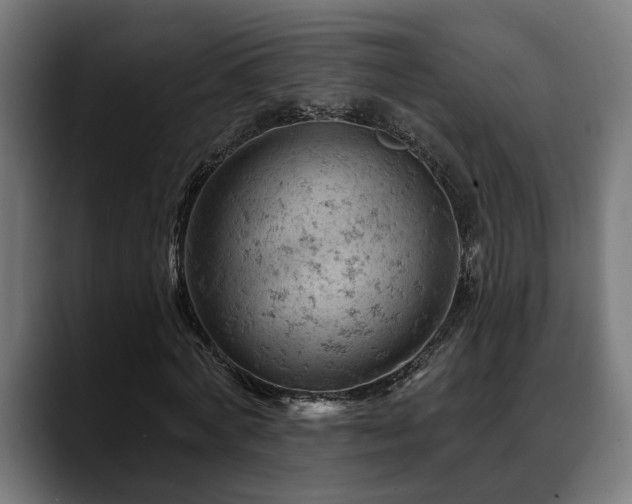 X0000088650772200705251501