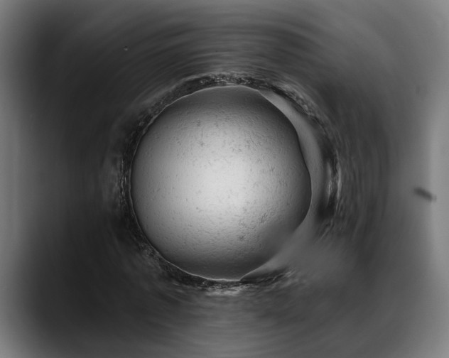 X0000088650773200705251501