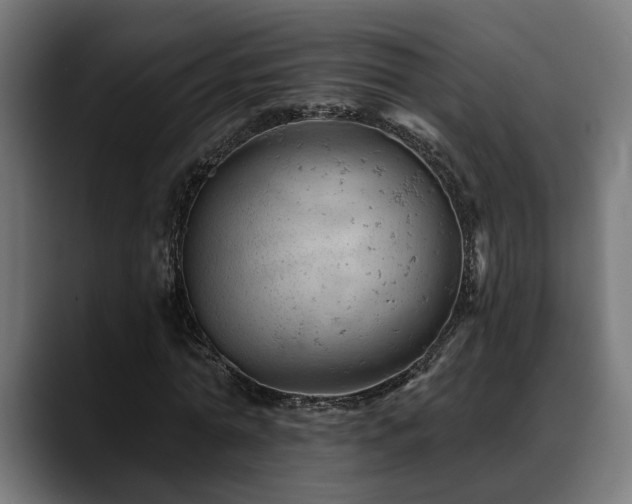 X0000088650774200705251501