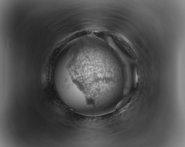 X0000088650775200705251501