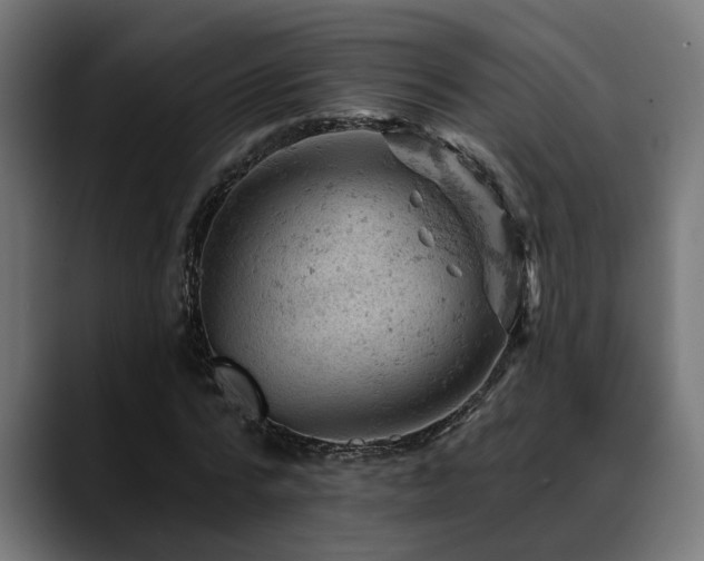 X0000088650776200705251501