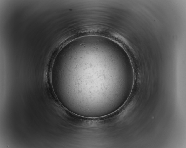 X0000088650778200705251501