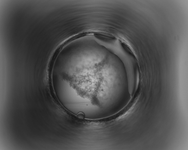 X0000088650779200705251501