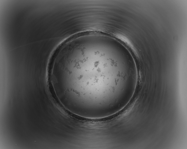 X0000088650780200705251501