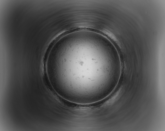 X0000088650782200705251501