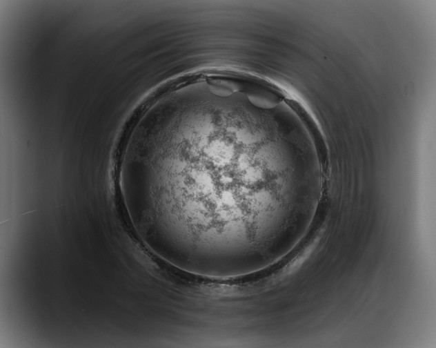 X0000088650783200705251501