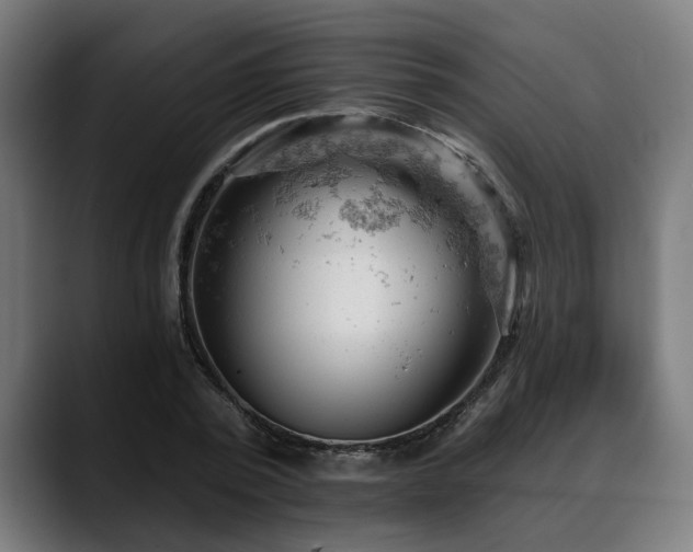 X0000088650784200705251501